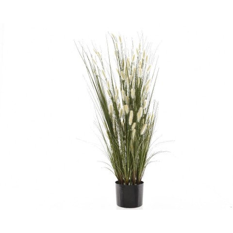 PIANTA PAMPAS WHITE H150